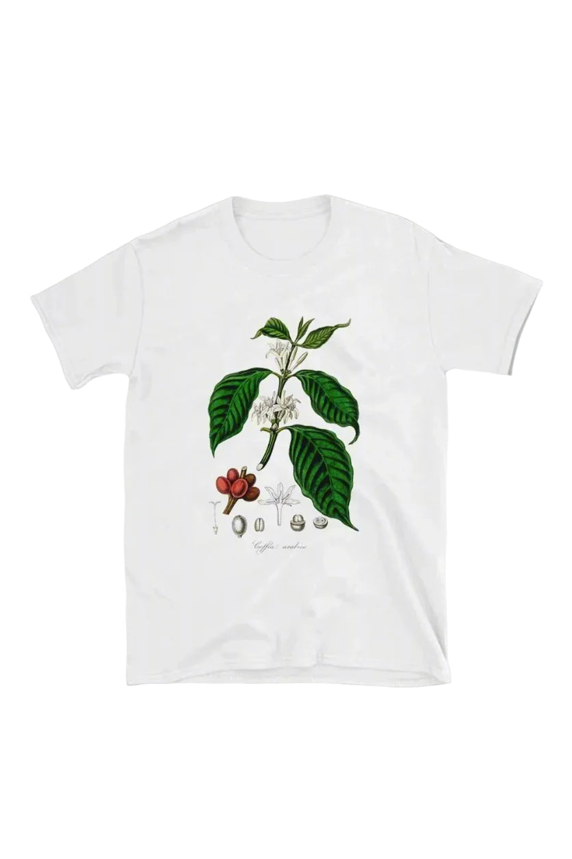 Retro Coffee Plant Graphic Women's T-Shirt WHITE Shoptery