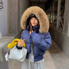 American Fur Collar Parkas Coats Women Y2K Winter Thick Warm Loose Crop Down Jacket Retro Streetwear Zipper Bread Outerwear New Shoptery