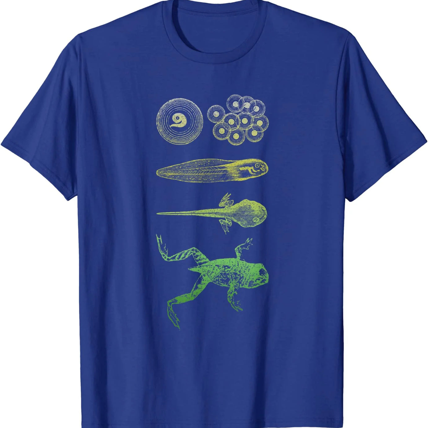 Amphibian Stages Edgy T-Shirt Blue Shoptery