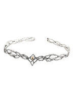 Accessory – Aesthetic Elves – Curated Look for Everyday Use Silver Champagne Shoptery