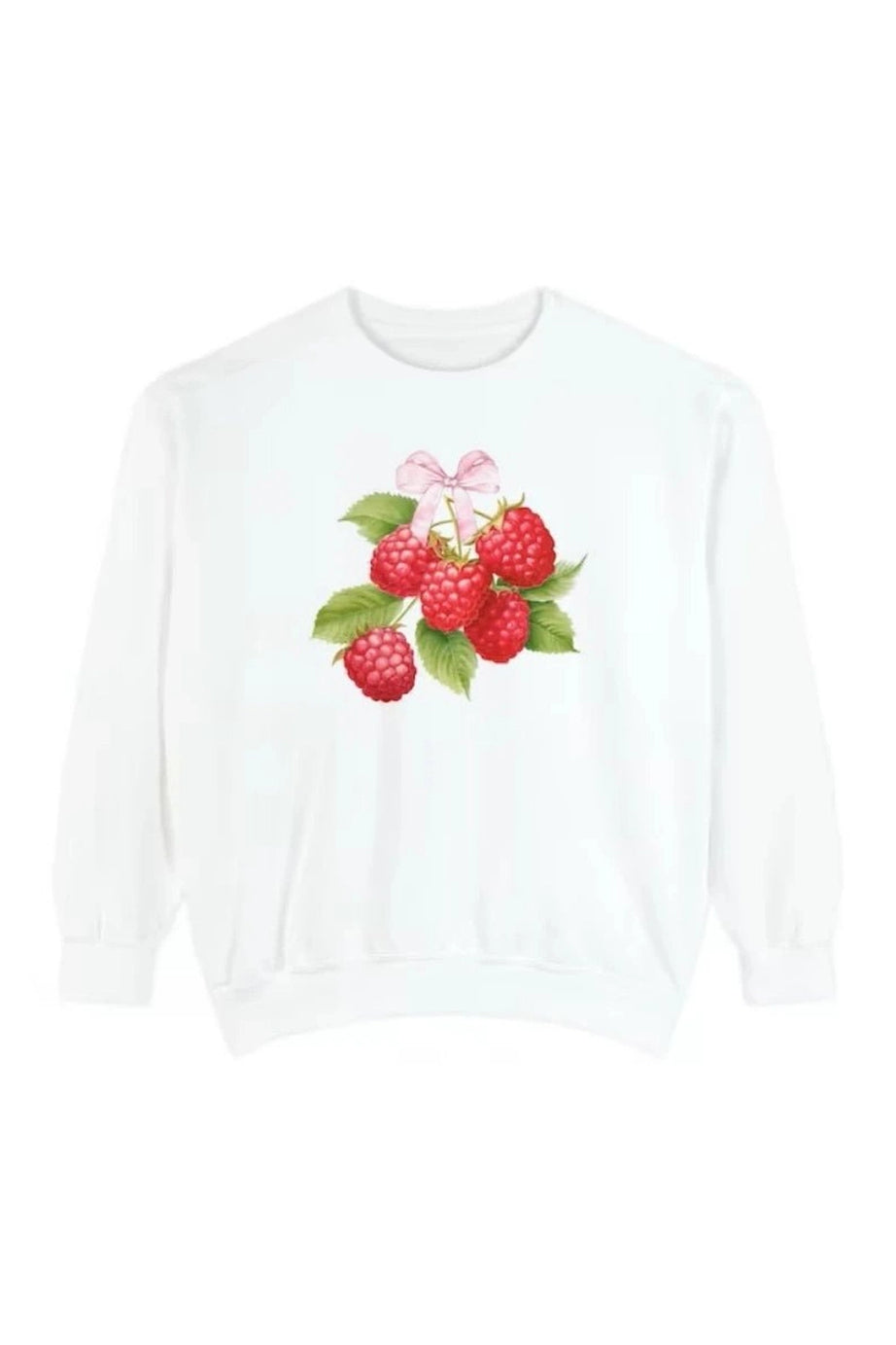 Sweet Raspberry Delight Sweatshirt - Sweatshirts