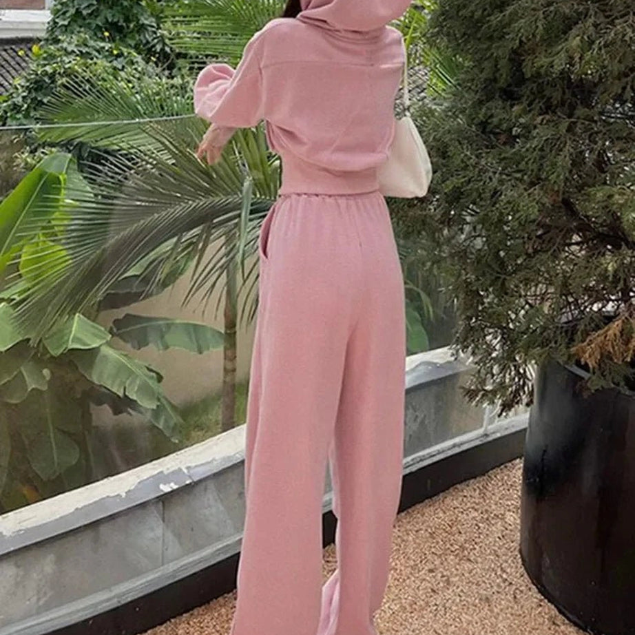 Aesthetic Two Piece Hooded Tracksuit Shoptery
