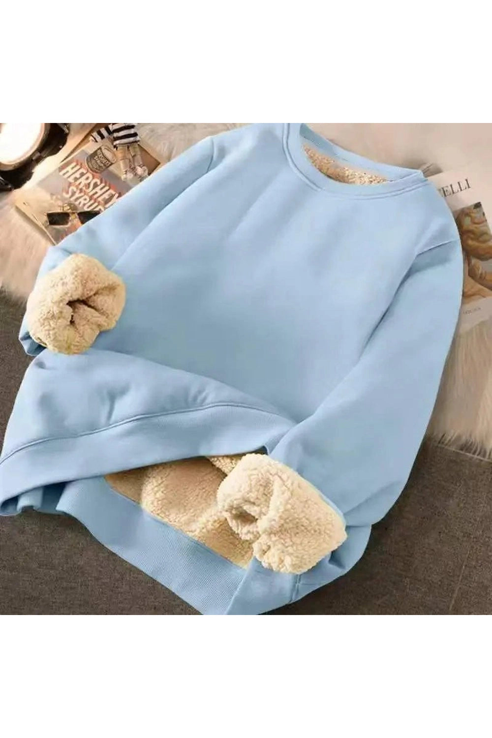 Letter Print Plush Aesthetic Hooded Sweatshirt Blue solid Shoptery