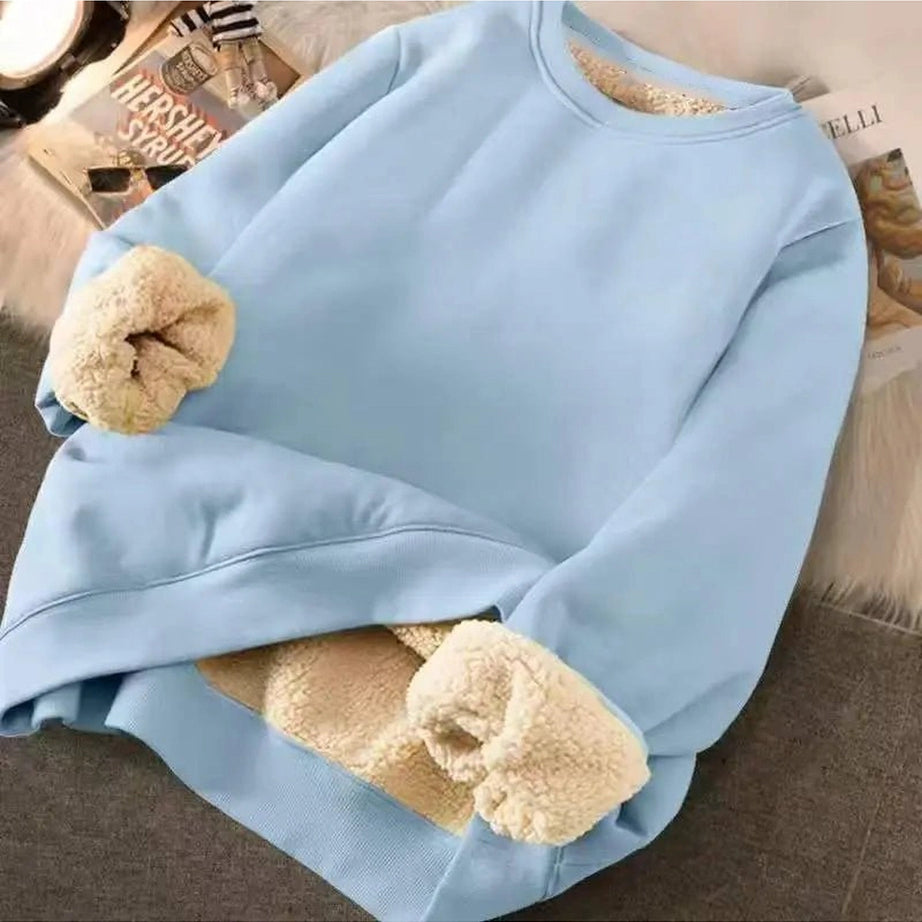 Letter Print Plush Aesthetic Hooded Sweatshirt Blue solid Shoptery