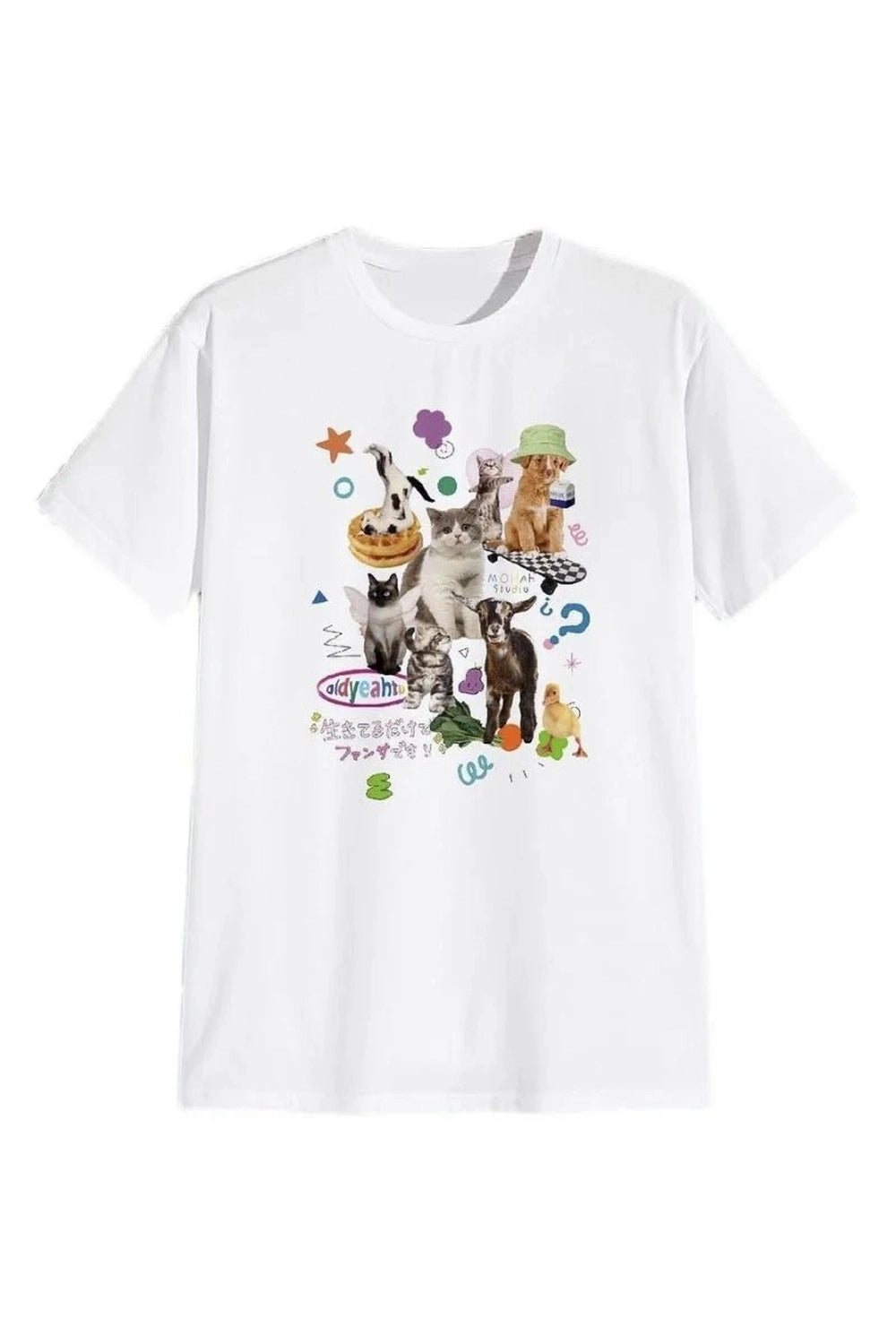 Milk Cat Graphic T-shirt -